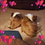 Deborah Ledbetter - @deborah.ledbetter3 - Instagram