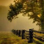 Deborah Duhon Leger - @deborahleger - Instagram