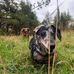 Deborah Leger - Facebook