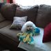 Deborah Leger - Facebook