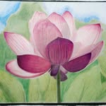 Deborah Legg Mroz - @deborahleggmroz - Instagram