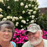 Deborah Legg Wolfe - @dwdswolfe - Instagram