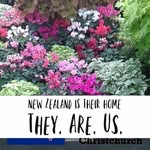 Deborah Leggett - @deborah.leggett.10 - Instagram