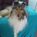 Debbie Legge - Facebook