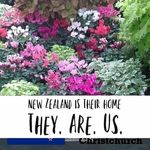 Deborah Leggett - @deborah.leggett.10 - Instagram