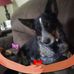 Deborah Lehr - Facebook