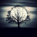 Déborah Lepage - @deb_lepage - Instagram