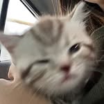 Deborah Lepage - @deborahlepage83975 - Instagram