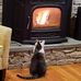 Deborah Levesque - Facebook