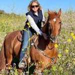 Deborah Gene Levine - @dgl57 - Instagram