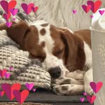 Deborah Lilly - @deborahlilly4224 - Instagram