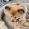 Deborah Lorraine - @deborah.lorraine07 - TikTok