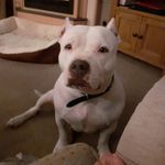 Deborah Lowe - @deborah.lowe.16 - Instagram