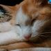 Deborah Luckett - Facebook