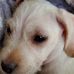 Deborah Ludwig - Facebook