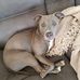 Debra Ludwig - Facebook