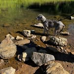 Deborah Lunsford Roberts - @tarheelmom90dr - Instagram