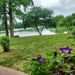 Deborah Lyle - @deborahlyle1951gmail.com_ - Instagram