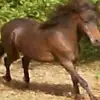 Deborah Lyman - @deborah.lyman - TikTok