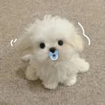 @deborahlyman124hmc - Instagram