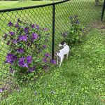 Deborah Roberts Mabry - @deborahrobertsmabry - Instagram