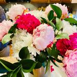 Deborah Mackey - @dmackey65 - Instagram