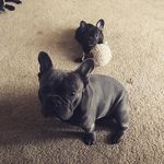 Deborah Mackey - @mackey_deborah - Instagram