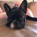 Deborah Malin - Facebook