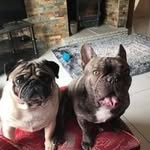 Deborah Evans Was'beedell-manley - @wasbeedellmanley - Instagram
