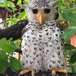 Deborah Manley - @manley.deb - Instagram