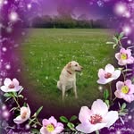 Deborah Mansfield - @deborah.mansfield.5 - Instagram