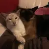 Deborah Mansfield - @deborah.mansfield1 - TikTok