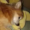 Deborah Marchese - @deborah.marchese3 - TikTok