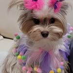 Deborah Marcum - @debmarcum555 - Instagram