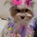 Deborah Marcum - Facebook