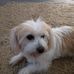 Deborah Mathews - Facebook
