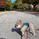 Deborah A. Grindey-Matlock - @damatlock - Instagram