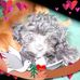 Deborah Maynard - Facebook
