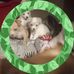 Deborah Maynard - Facebook