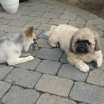 Deborah Mccauley - @smat826 - Instagram