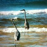 Deborah Wood Anderson McCrary - @deborahmccrary - Instagram