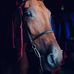 Deborah McCrea - Facebook