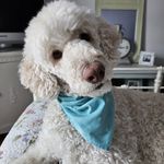 Deborah Meredith - @deborah.meredith.73 - Instagram