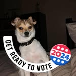 Debra Messer - @beeper0259 - Instagram