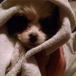 Debra Messer - @debra.messer - Instagram