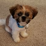 Debbie Mikell - @deborah.mikell - Instagram