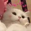 Deborah.Miranda - @deborahmirandaiflyciwh - TikTok