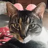 Deborah Mock - @user980863617267 - TikTok