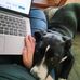 Deborah Montague - Facebook