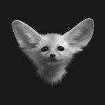 Deborah Moreau - @yuki_foxpaws - Instagram